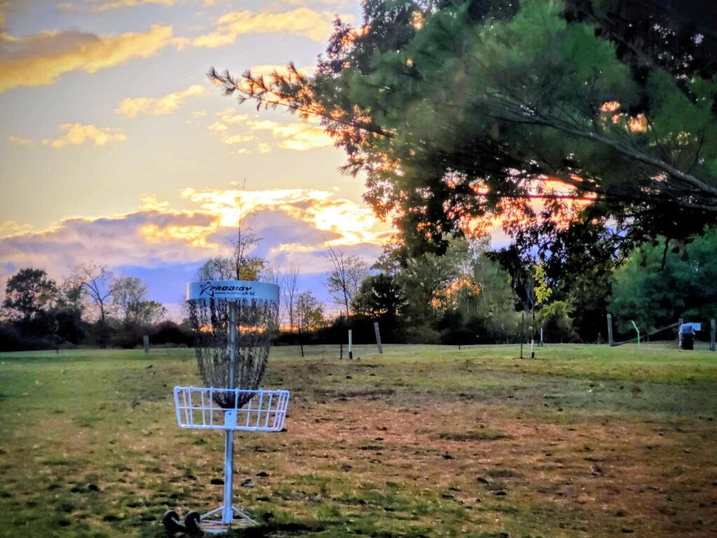 disc golf basket